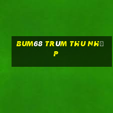 bum68 trùm thu nhập