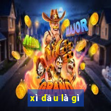 xì dầu là gì