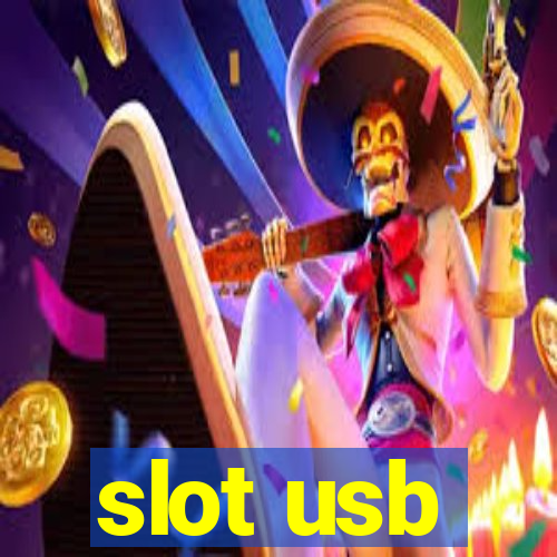 slot usb