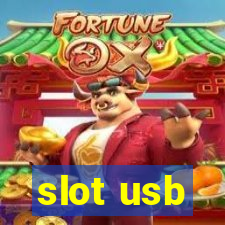 slot usb