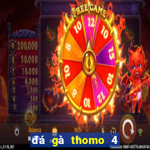 đá gà thomo 4 9 2024