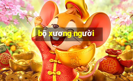 bộ xương người