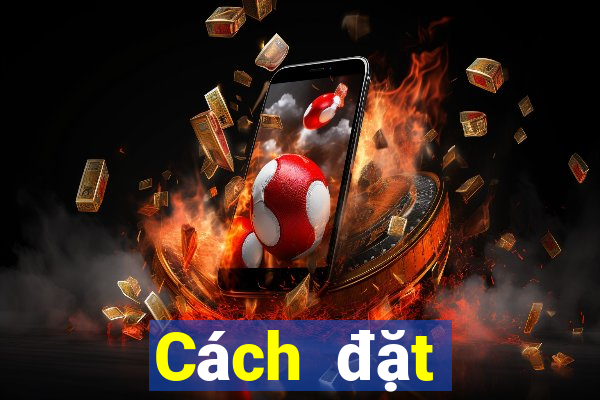 Cách đặt cược XSLA ngày 31