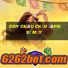 con châu chấu đánh số mấy