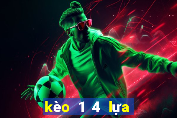 kèo 1 4 lựa là sao