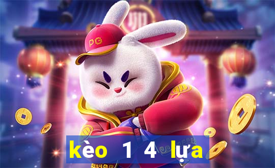 kèo 1 4 lựa là sao