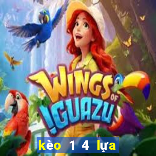 kèo 1 4 lựa là sao