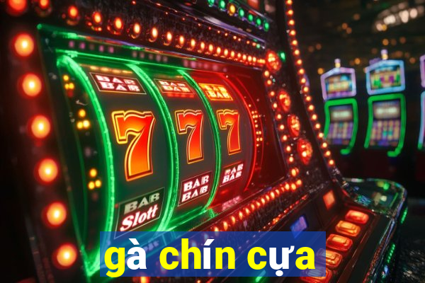 gà chín cựa