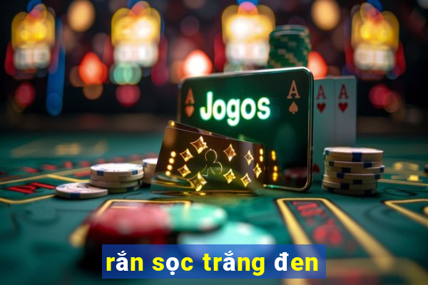 rắn sọc trắng đen