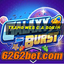 Trang web của Bokin