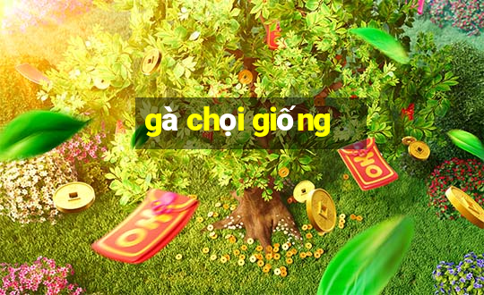 gà chọi giống