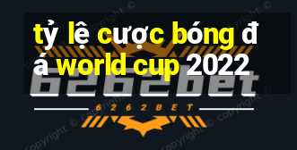 tỷ lệ cược bóng đá world cup 2022