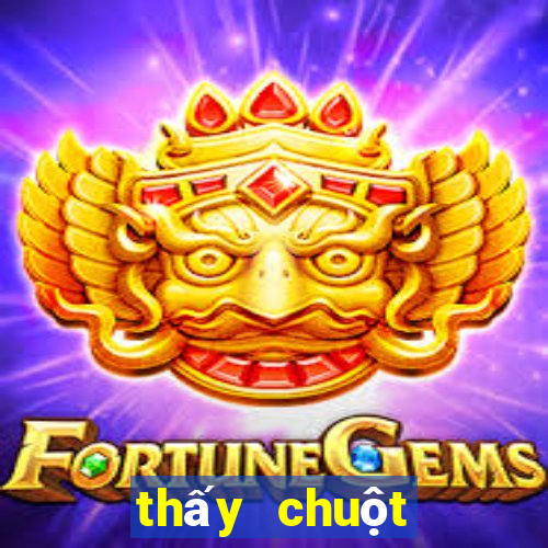 thấy chuột đánh con gì