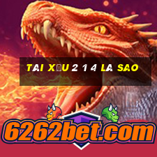 tài xỉu 2 1 4 là sao