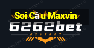 Soi Cầu Maxvin