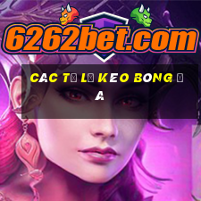 Các tỷ lệ kèo bóng đá