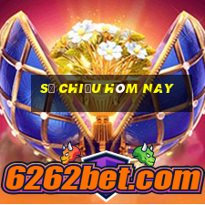 số chiều hôm nay