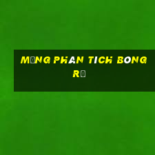 mạng phân tích bóng rổ