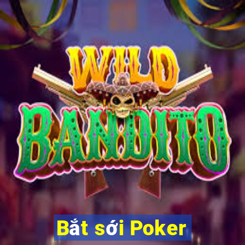 Bắt sới Poker