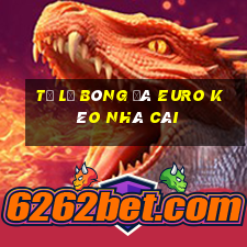 tỷ lệ bóng đá euro kèo nhà cái