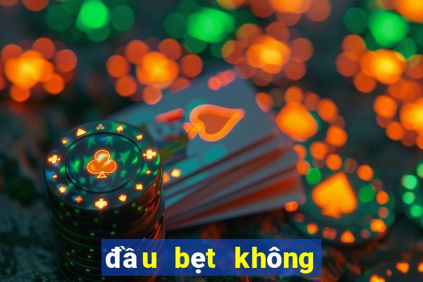 đầu bẹt không thông minh