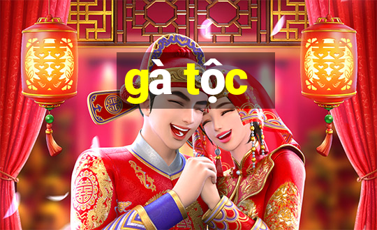 gà tộc