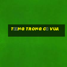 tướng trong cờ vua