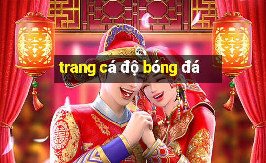 trang cá độ bóng đá