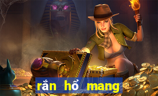 rắn hổ mang màu vàng