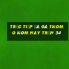 trực tiếp đá gà thomo hôm nay trận 34