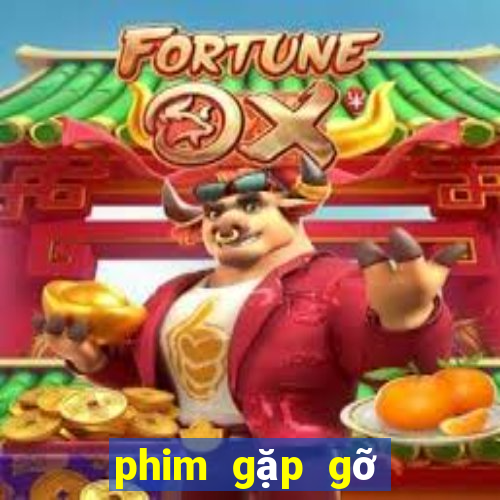 phim gặp gỡ vương lịch xuyên