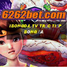 ibongda tv trực tiếp bóng đá