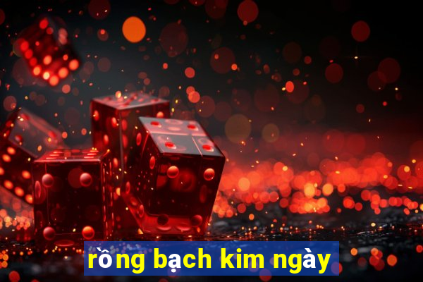 rồng bạch kim ngày