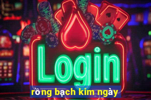 rồng bạch kim ngày