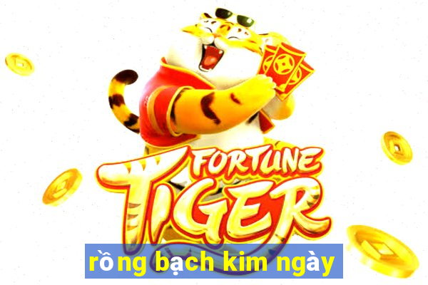 rồng bạch kim ngày