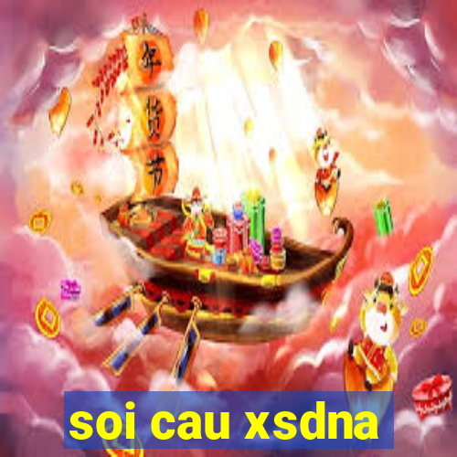 soi cau xsdna