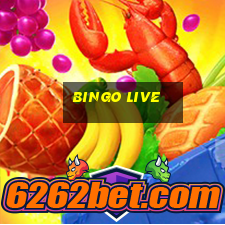 bingo live