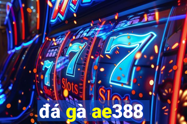 đá gà ae388