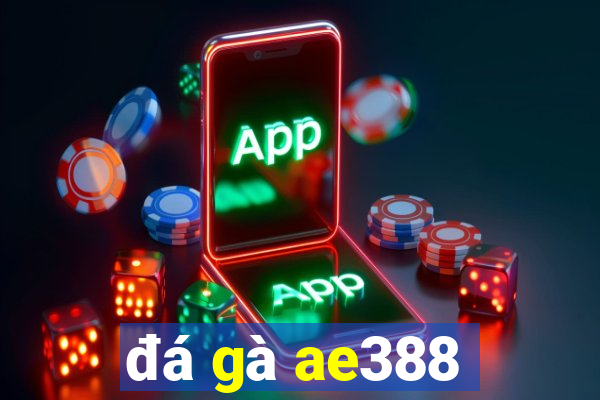 đá gà ae388