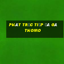 phát trực tiếp đá gà thomo