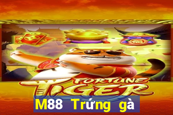 M88 Trứng gà Đắk Lắk