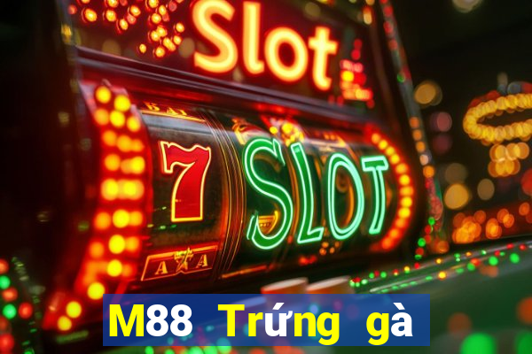 M88 Trứng gà Đắk Lắk