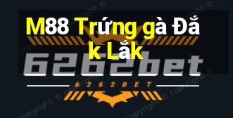 M88 Trứng gà Đắk Lắk