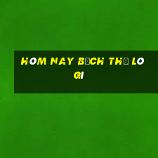 hôm nay bạch thủ lô gì