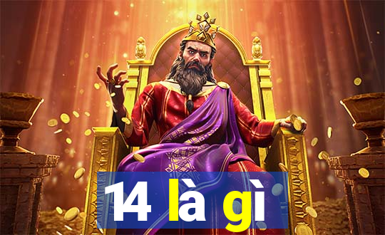 14 là gì