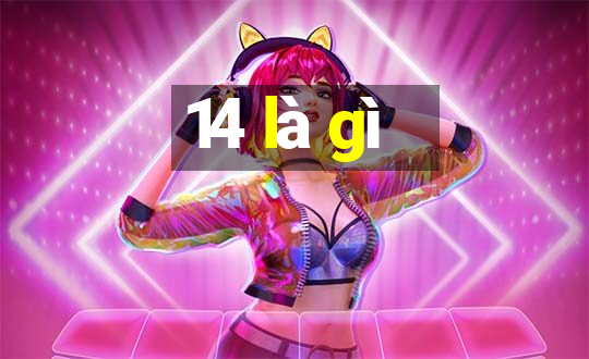 14 là gì