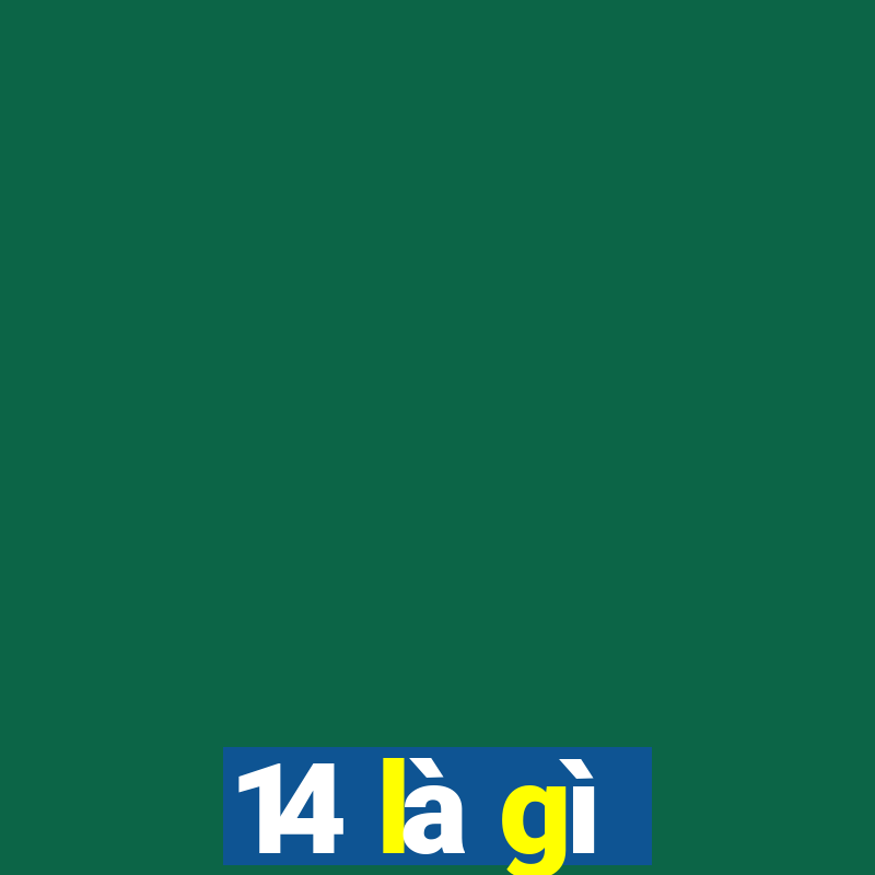 14 là gì