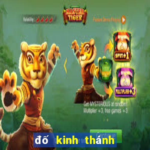 đố kinh thánh tin lành