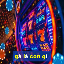 gà là con gì