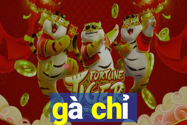 gà chỉ